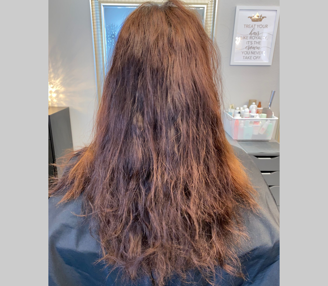 Before picture of a woman's hair and it is brassy and kinky.