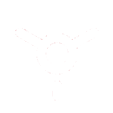 Wit IVA Mobility logo