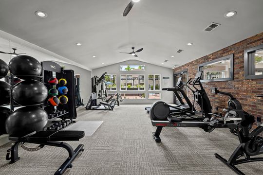 Bright gym with exercise machines, medicine balls, and large windows in a carpeted fitness room