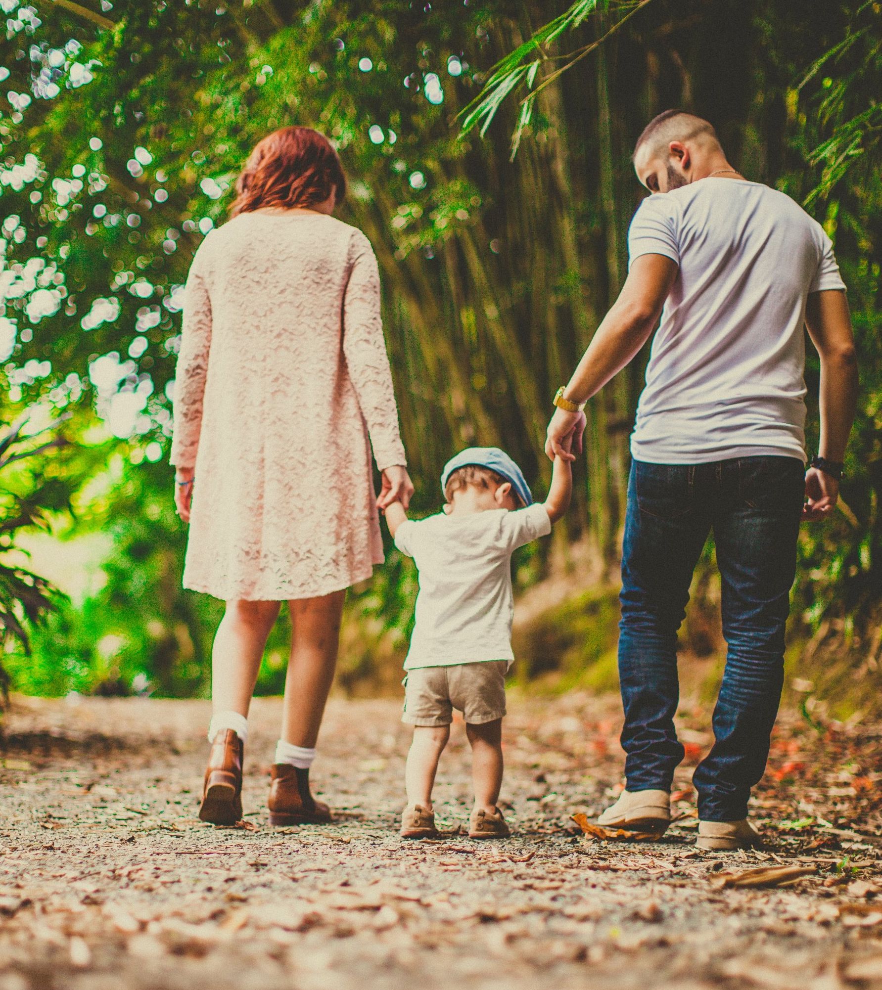 Family walking hand in hand on a leafy path, seen from behind.