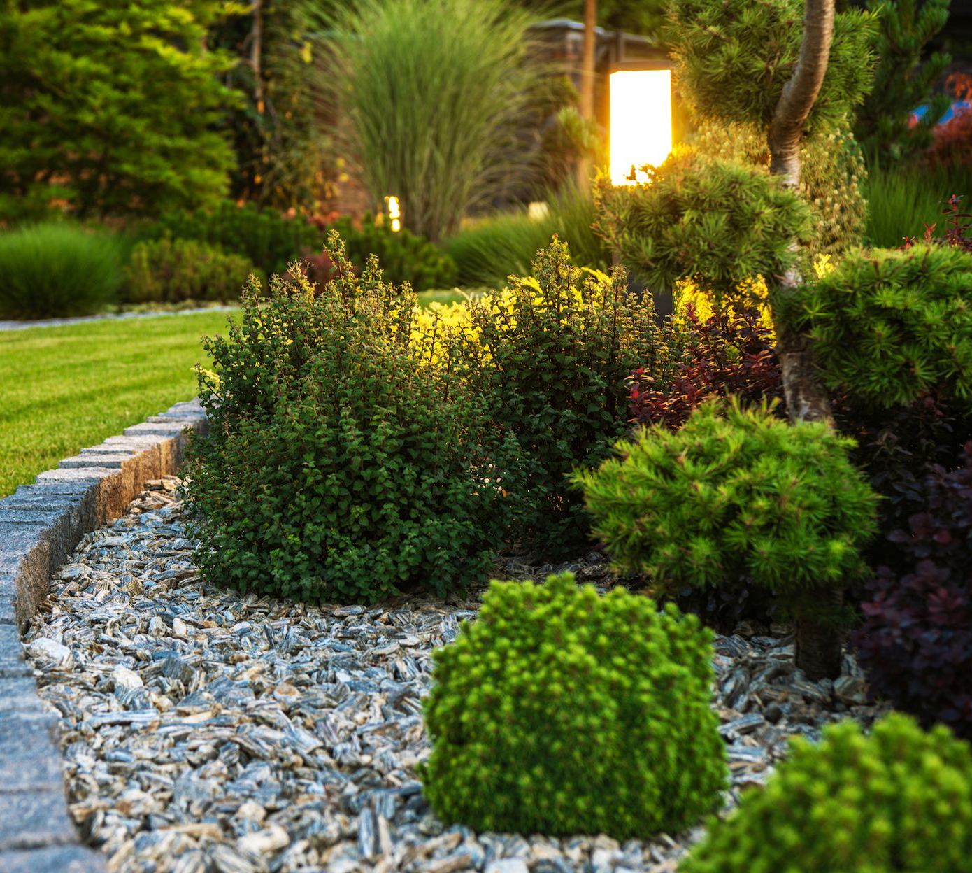 Landscape Lighting