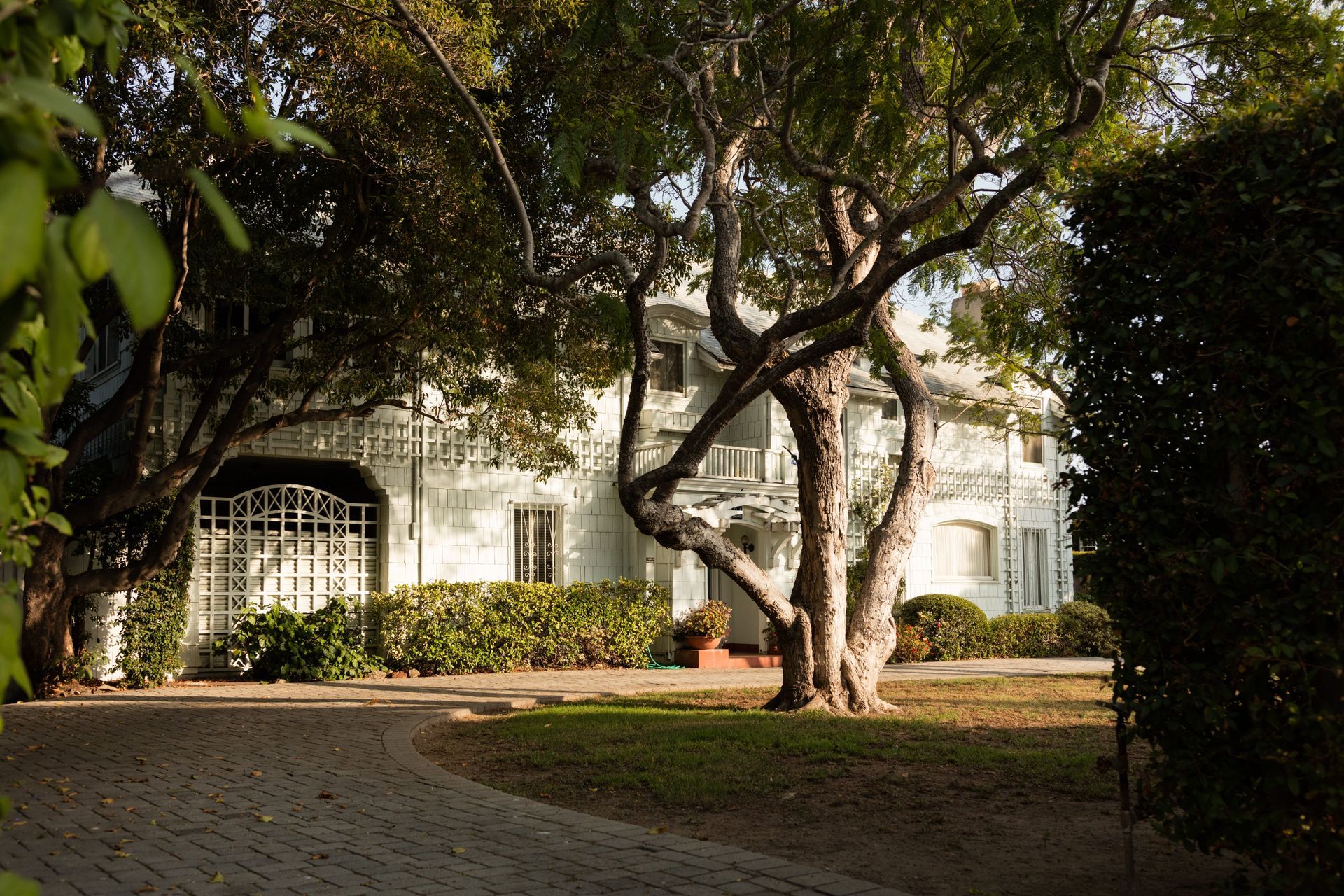 A historic, light-colored colonial-style house partially obscured by a large, gnarled tree and a circular cobblestone drive.