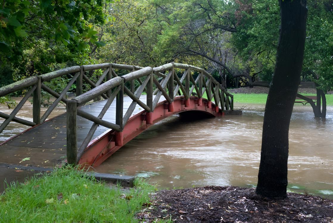 Wooden Bridge Over Flooded Water With Green Grass — JSF Interiors Goulburn in Bowral, NSW