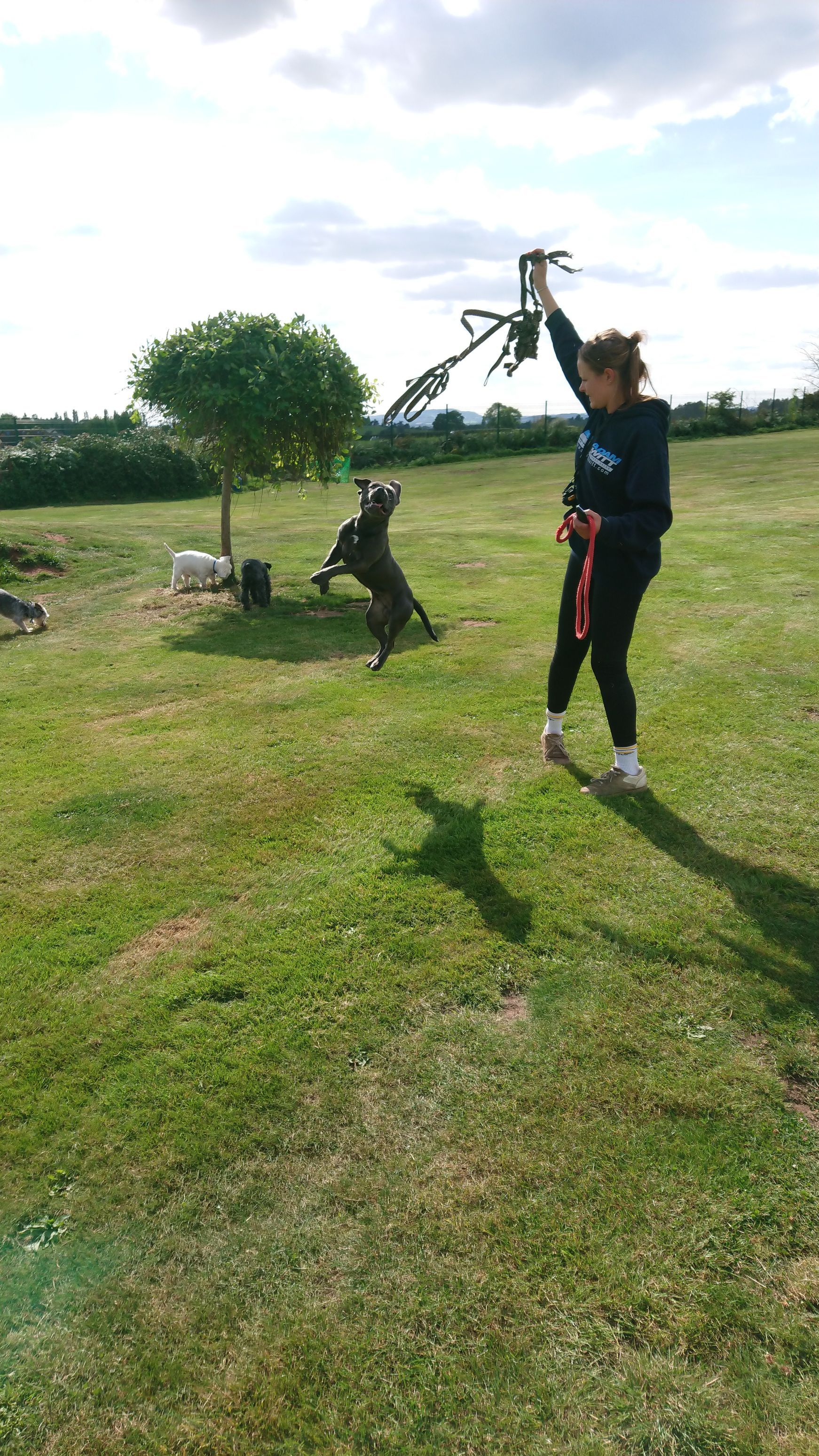 Kennels