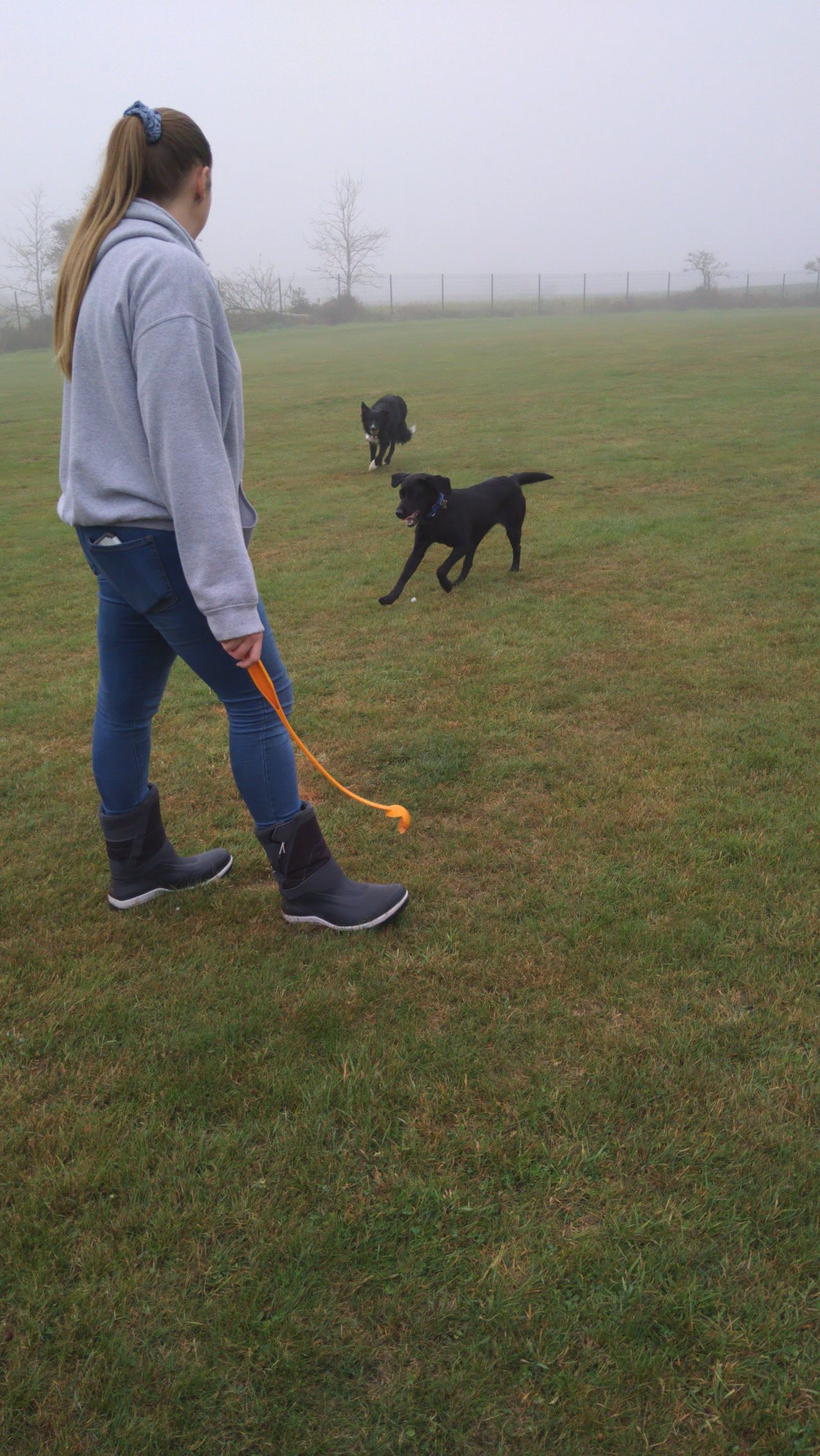 Kennels