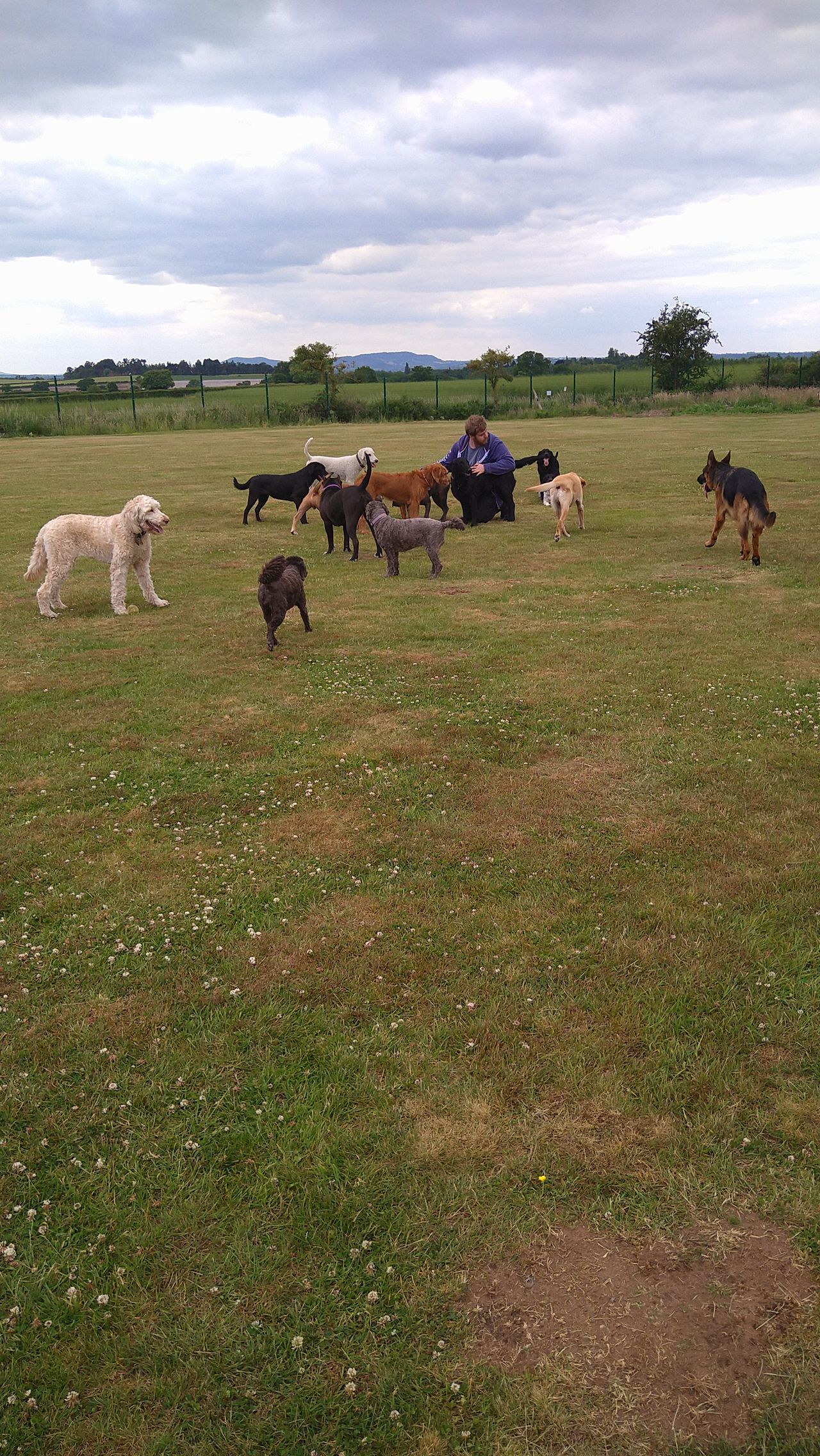 Kennels