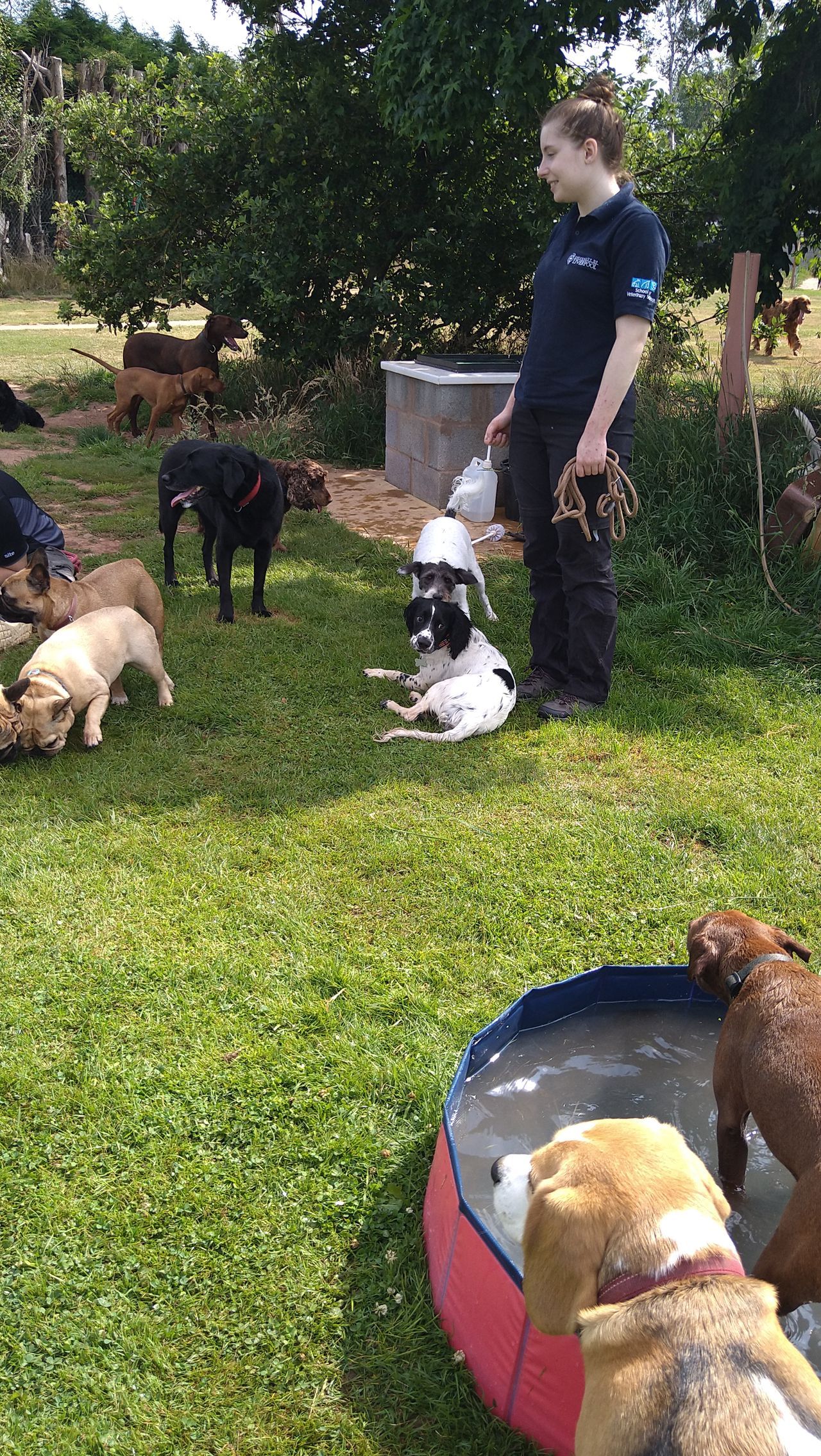 Kennels