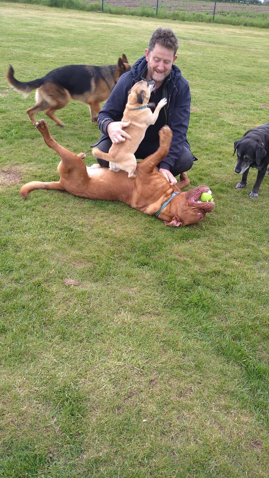Kennels