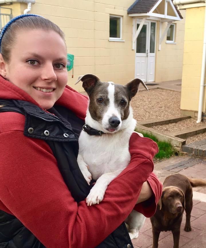 Kennels