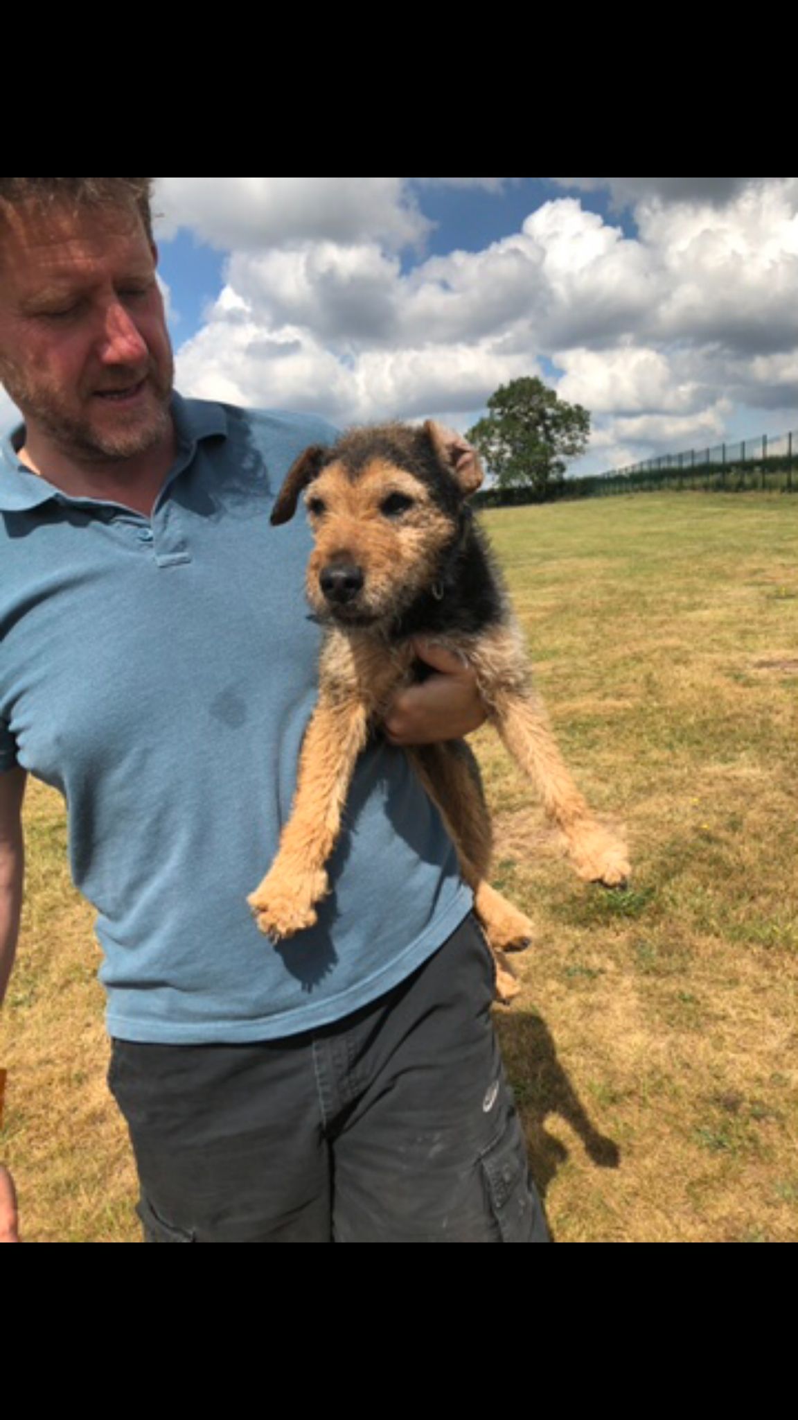 Kennels