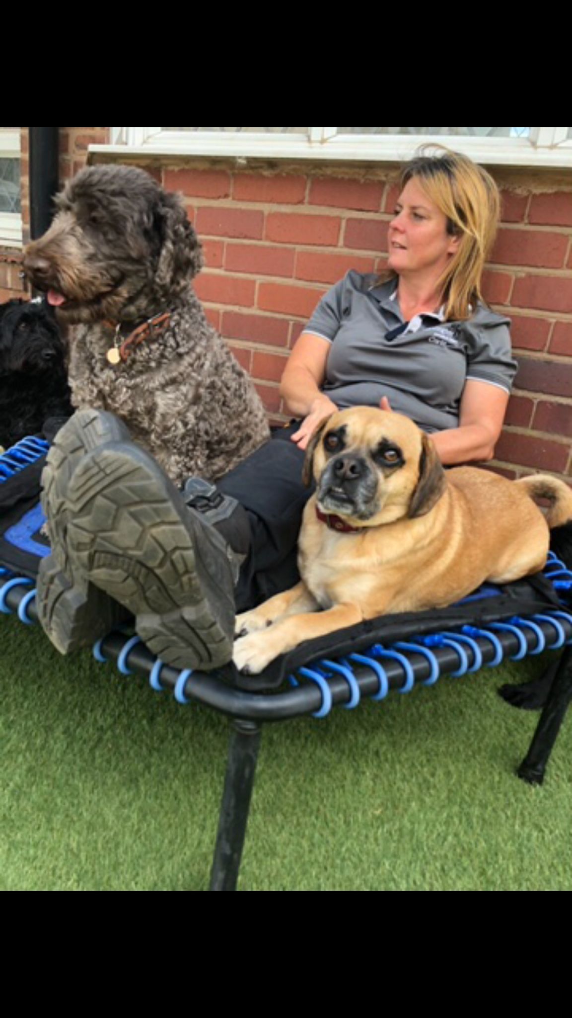 Kennels