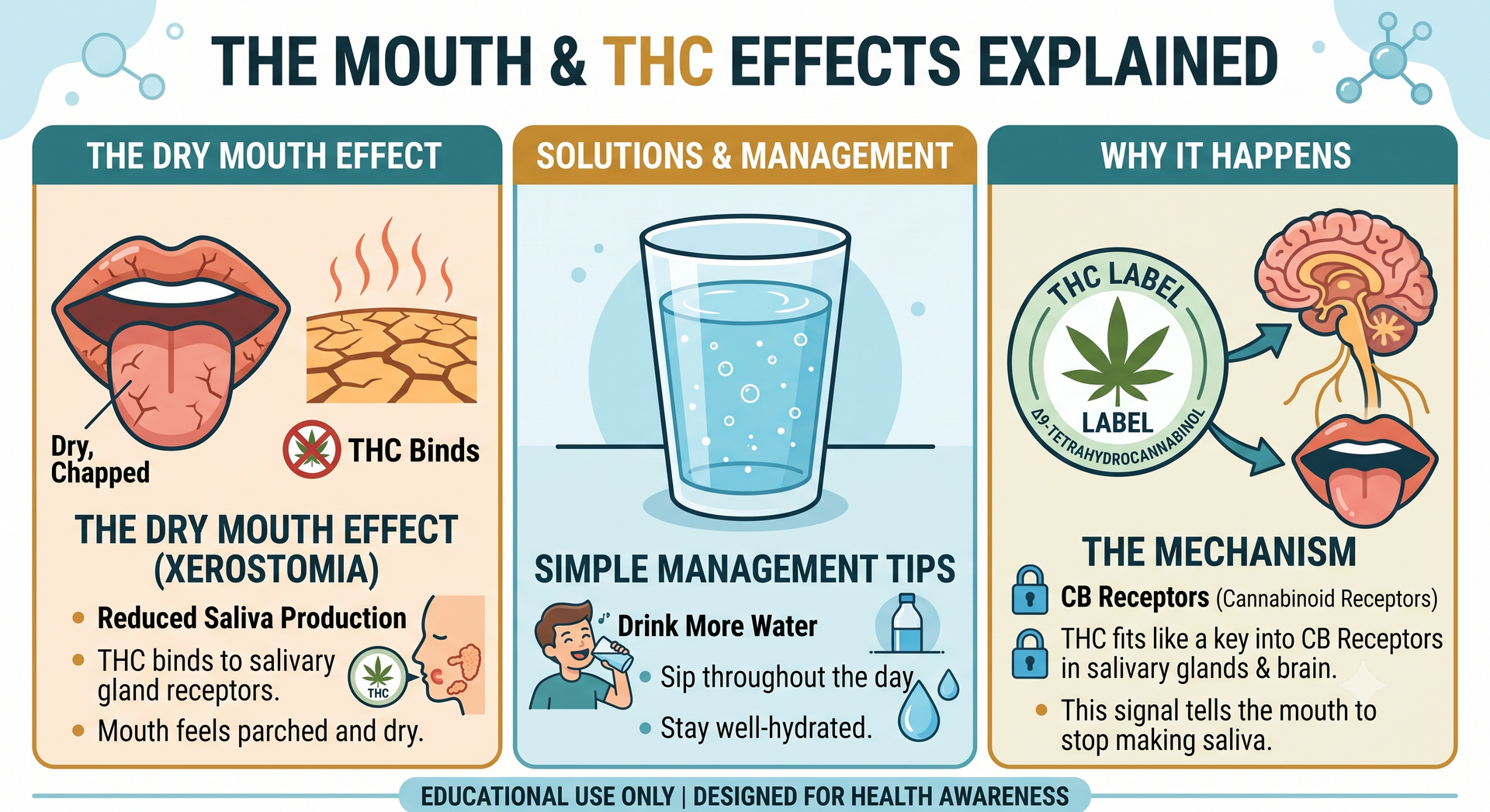 dry mouth and THC effects explained