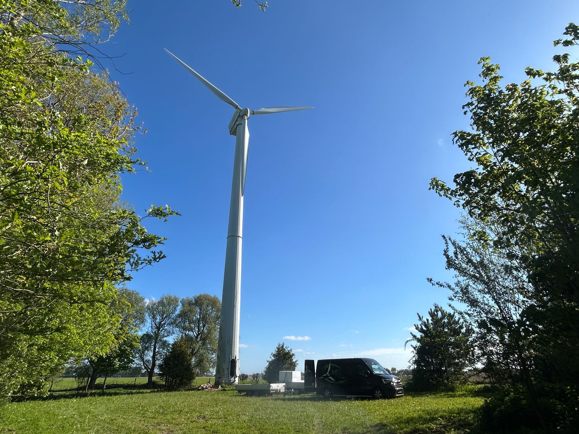Tall wind turbine in a green field framed by trees under a clear blue sky