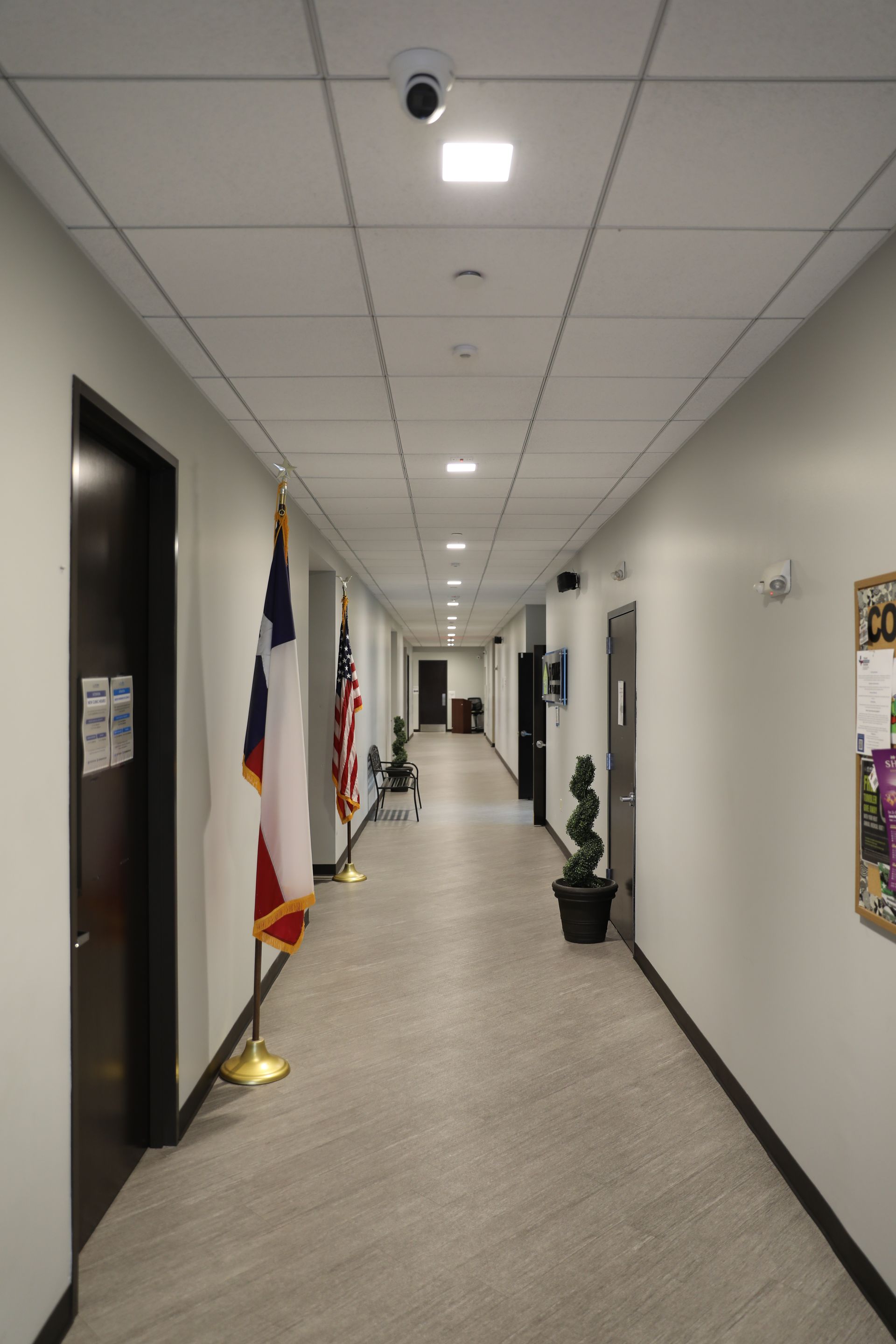 A long, well-lit hallway with two flags on the left, a plant on the right, and doors lining both sides.