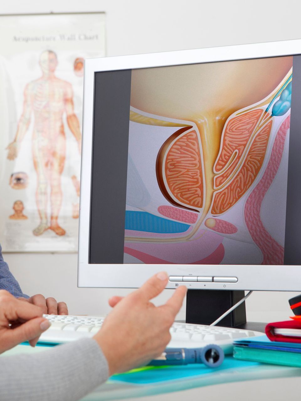A healthcare provider points to a screen showing an anatomical diagram of the human bladder and prostate in an office.