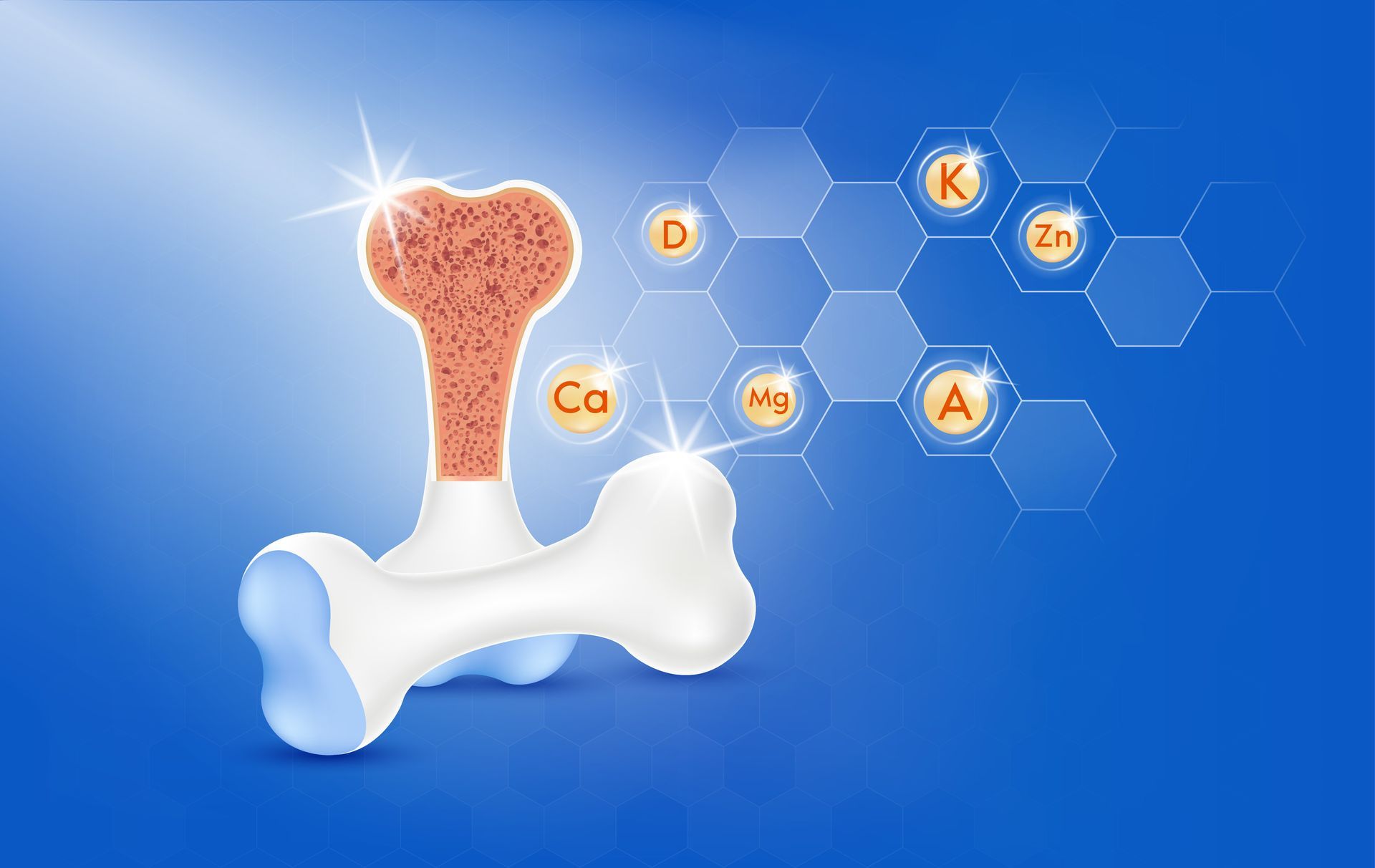 bone health specialists in houston