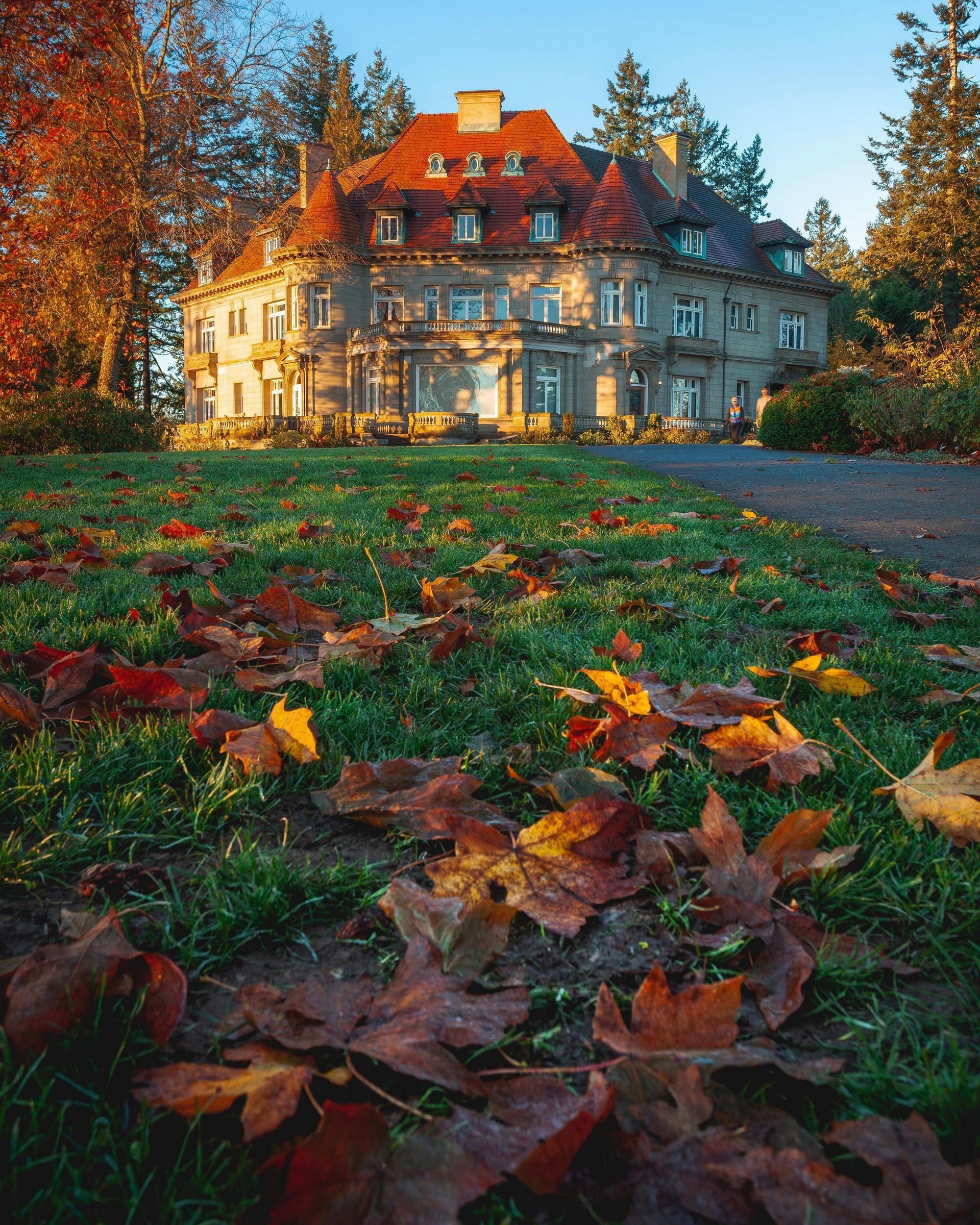 A large house is surrounded by leaves on the ground