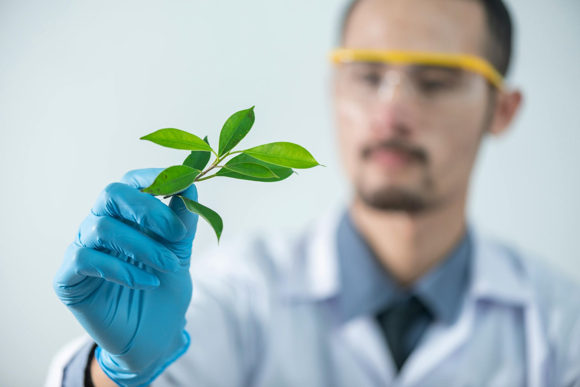 A scientist is holding a plant in his hand.