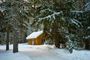 A small cabin in the middle of a snowy forest