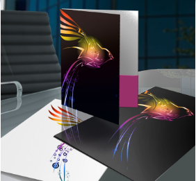 image of presentation folders image of presentation folders