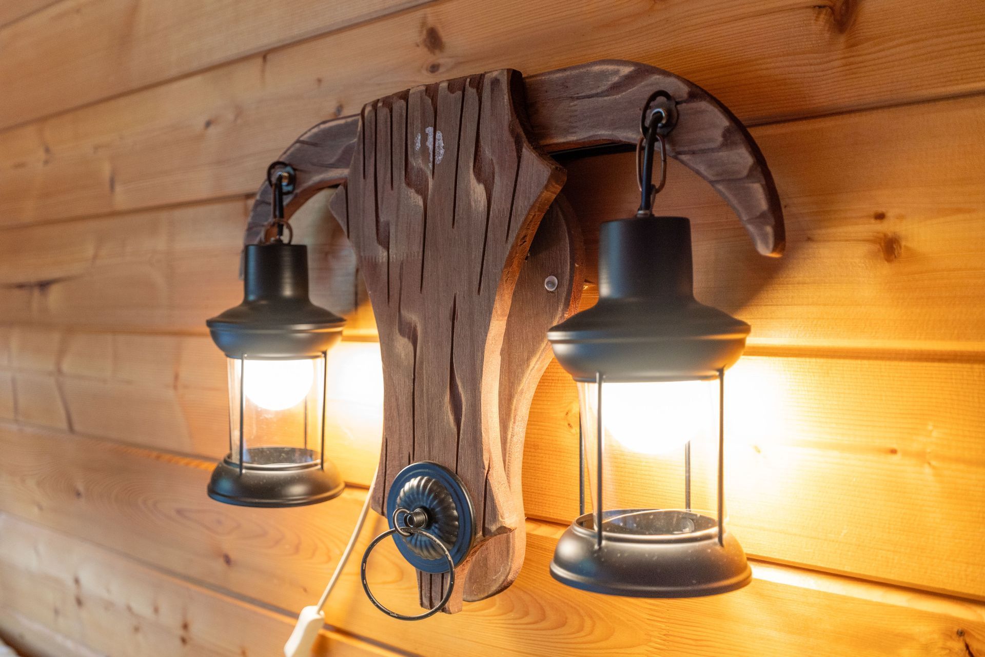 Rustic interior lighting at Lodge 5 Heron