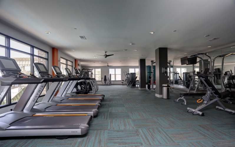 Gym interior with treadmills, exercise machines, and windows along the wall.
