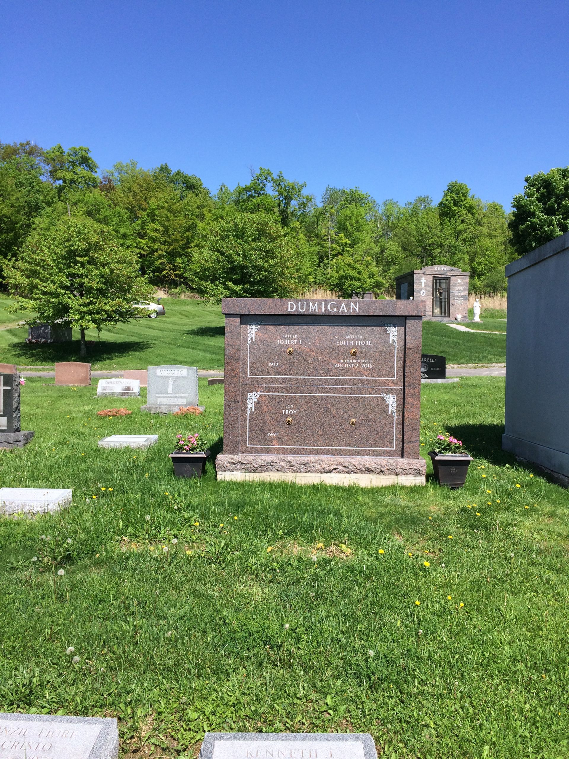 A red granite monument stands in a sunny, grassy cemetery surrounded by trees and smaller headstones under a clear sky.
