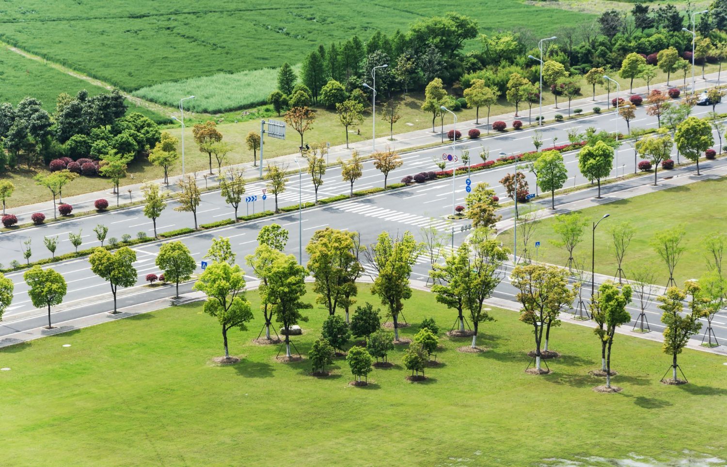 Tree-lined roadway through a green park with parked cars and hills in the background