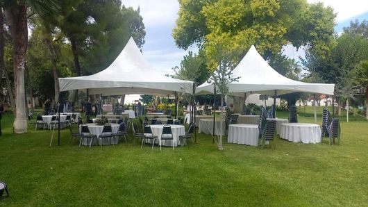 LONAS Y CUBIERTAS SA DE CV -