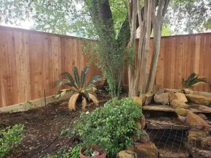 A wooden fence surrounds a backyard filled with plants and rocks.