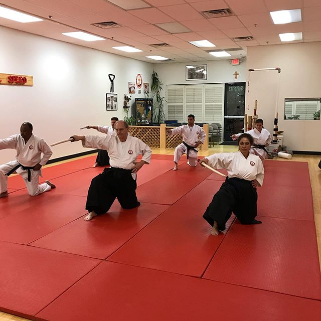 Traditional Karate and aikido students training with bokken swords