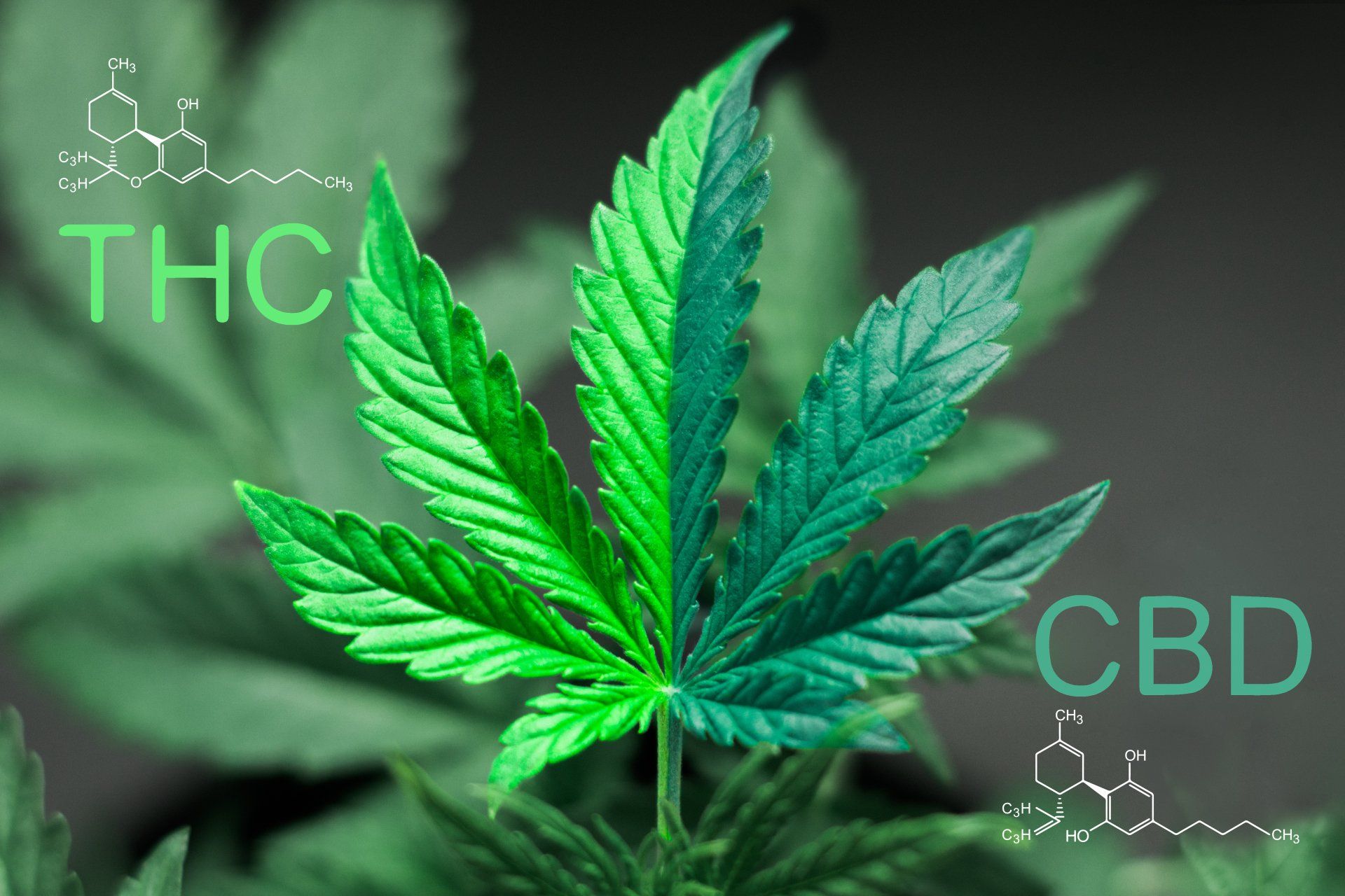 Microdosing Cannabis