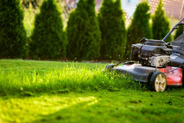 pompa da giardino con irrigatore