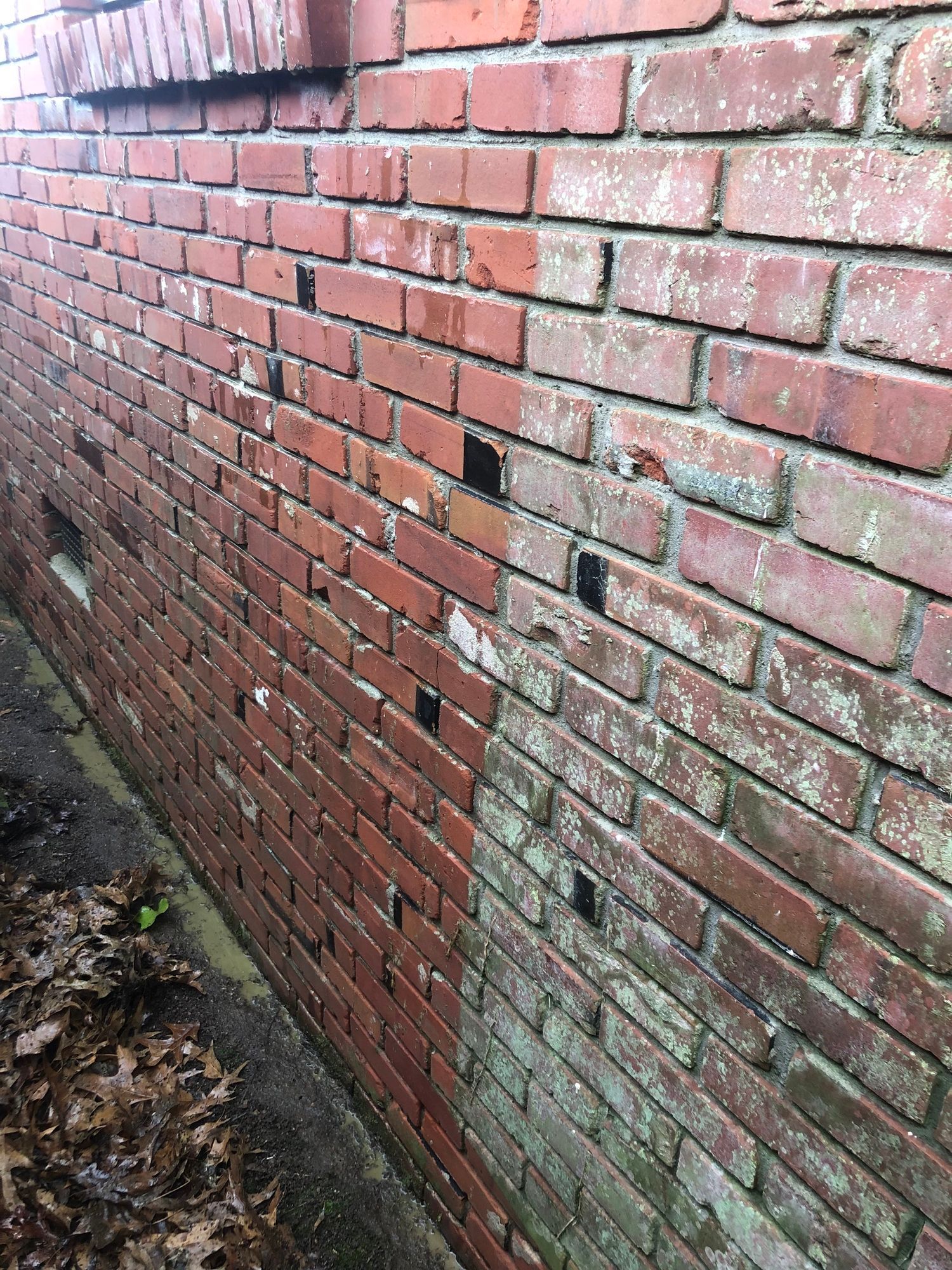 A brick wall is being cleaned and painted.