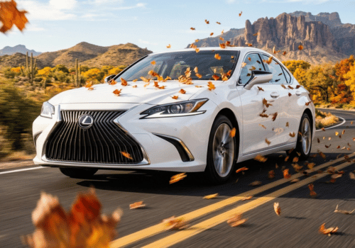 White Lexus sedan driving along a scenic desert road surrounded by falling autumn leaves