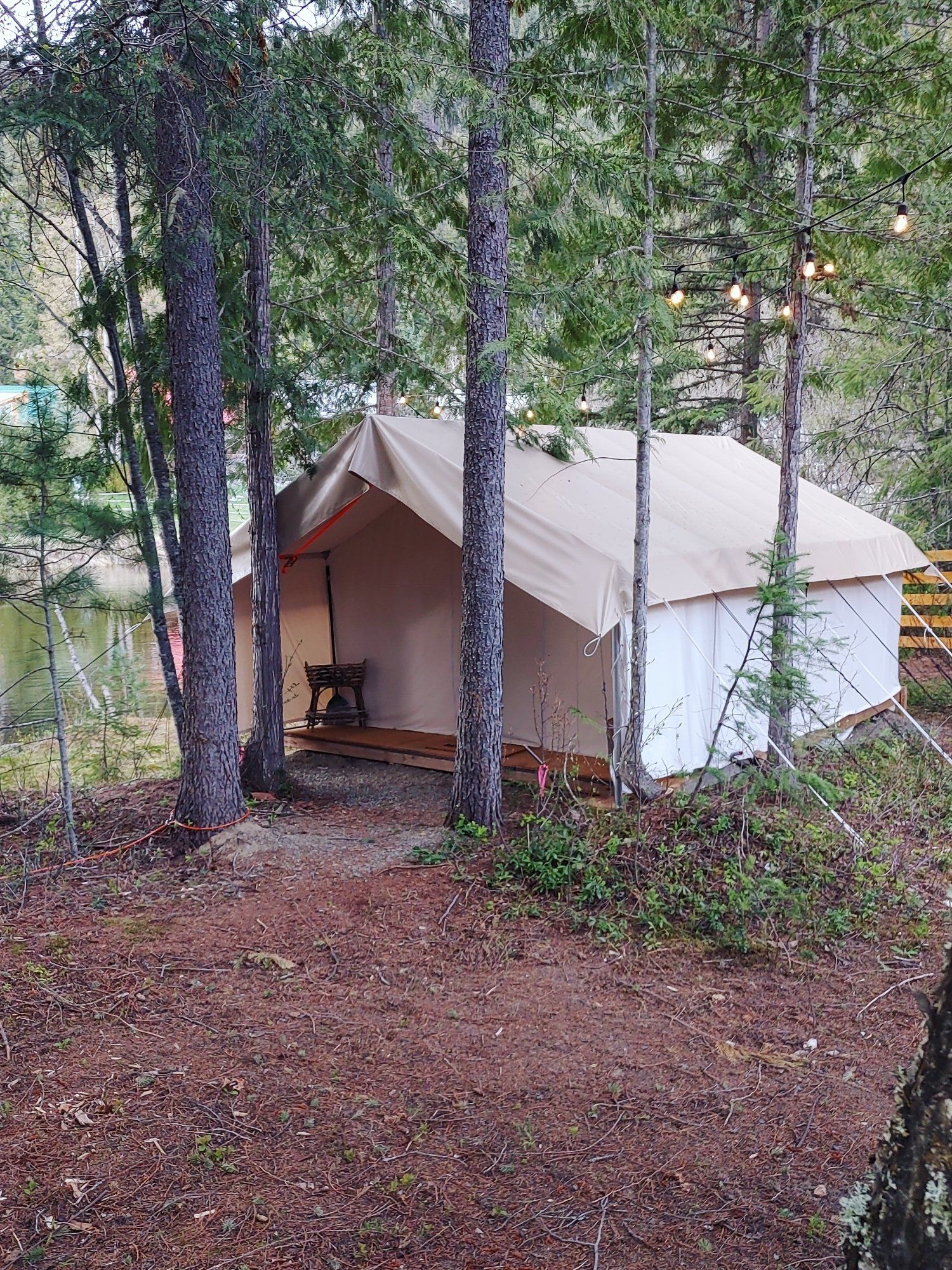 A tent is sitting in the middle of a forest next to a lake.