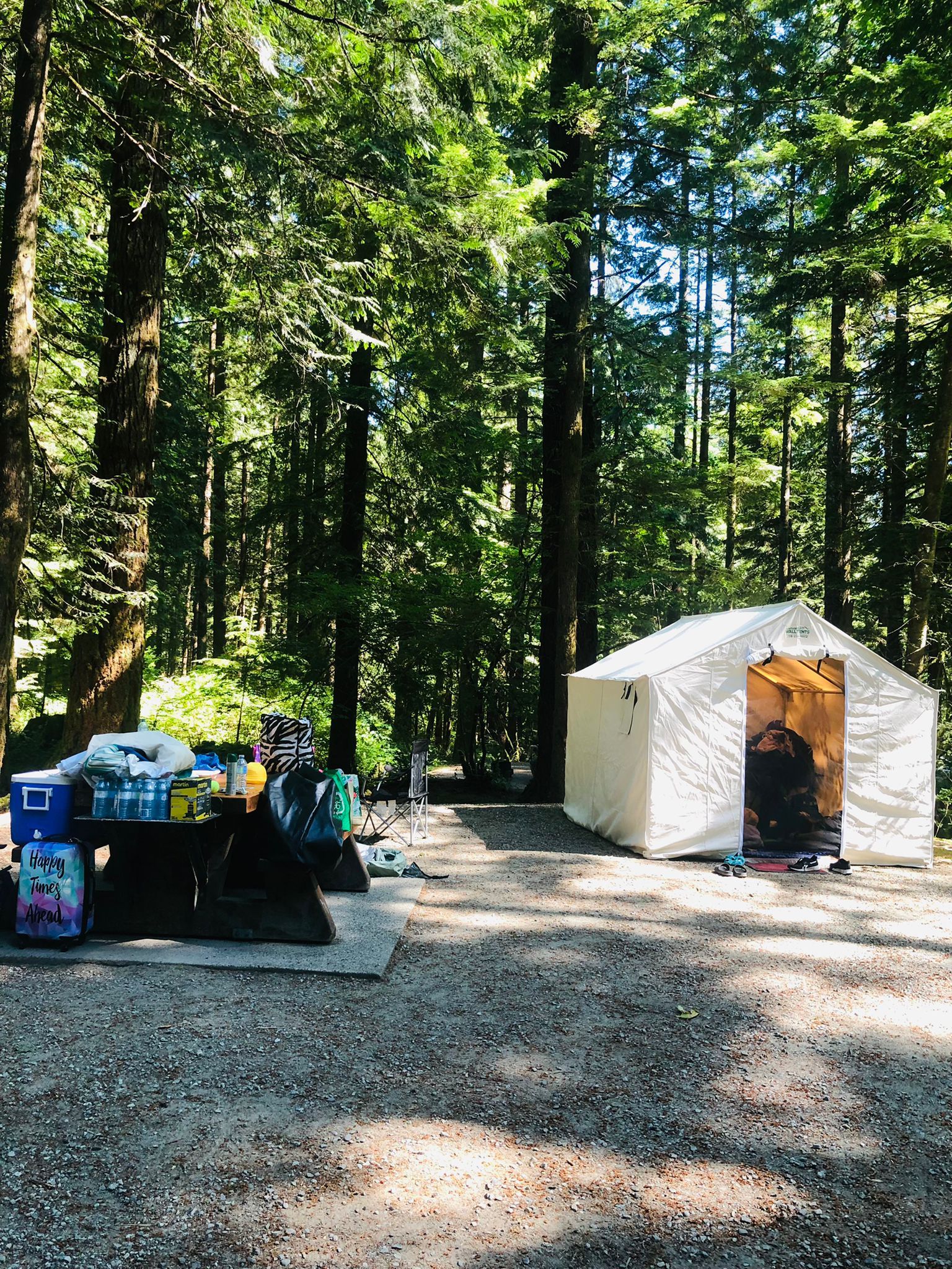 A white tent is sitting in the middle of a forest.