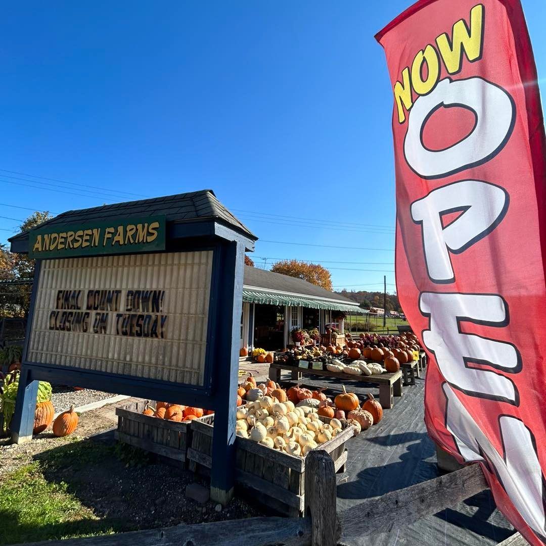 A sign that says ' now open ' on it