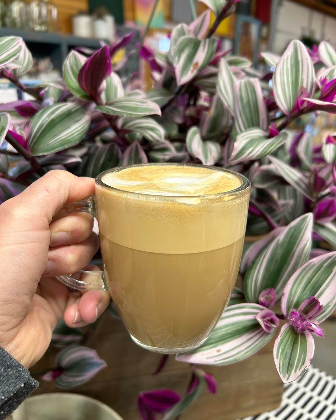 A person is holding a cup of coffee in front of a plant.
