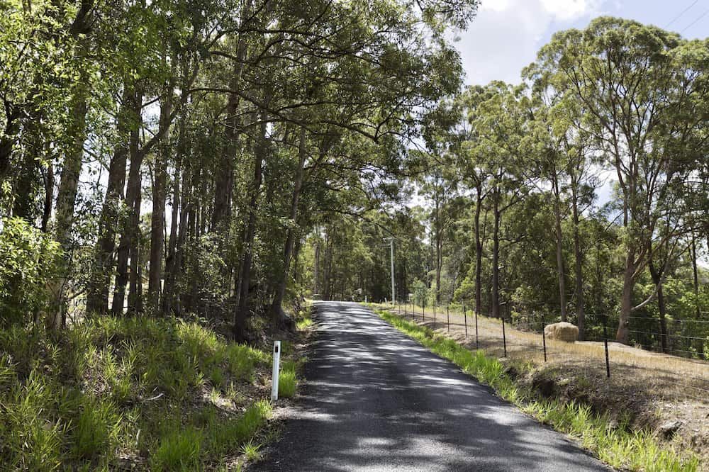 A Road Going Through a Forest With Trees on Both Sides — Smithys Crane Hire in Brinsmead, QLD