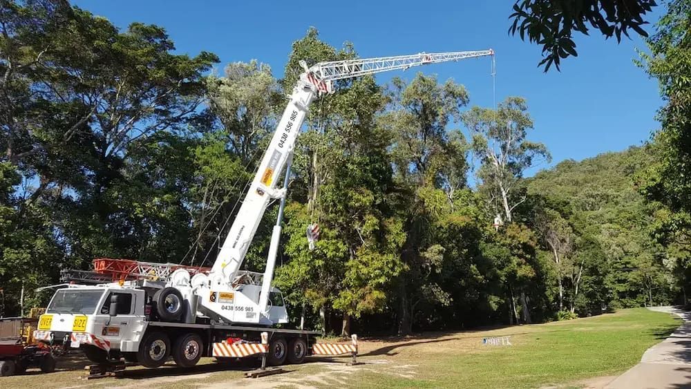 A Large Crane is Sitting on Top of a Truck in a Park — Smithys Crane Hire in Brinsmead, QLD