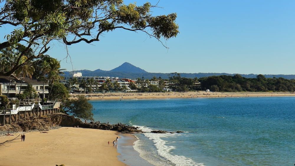 A Beach With a Mountain in the Background and a Tree in the Foreground — Smithys Crane Hire in Palm Cove, QLD