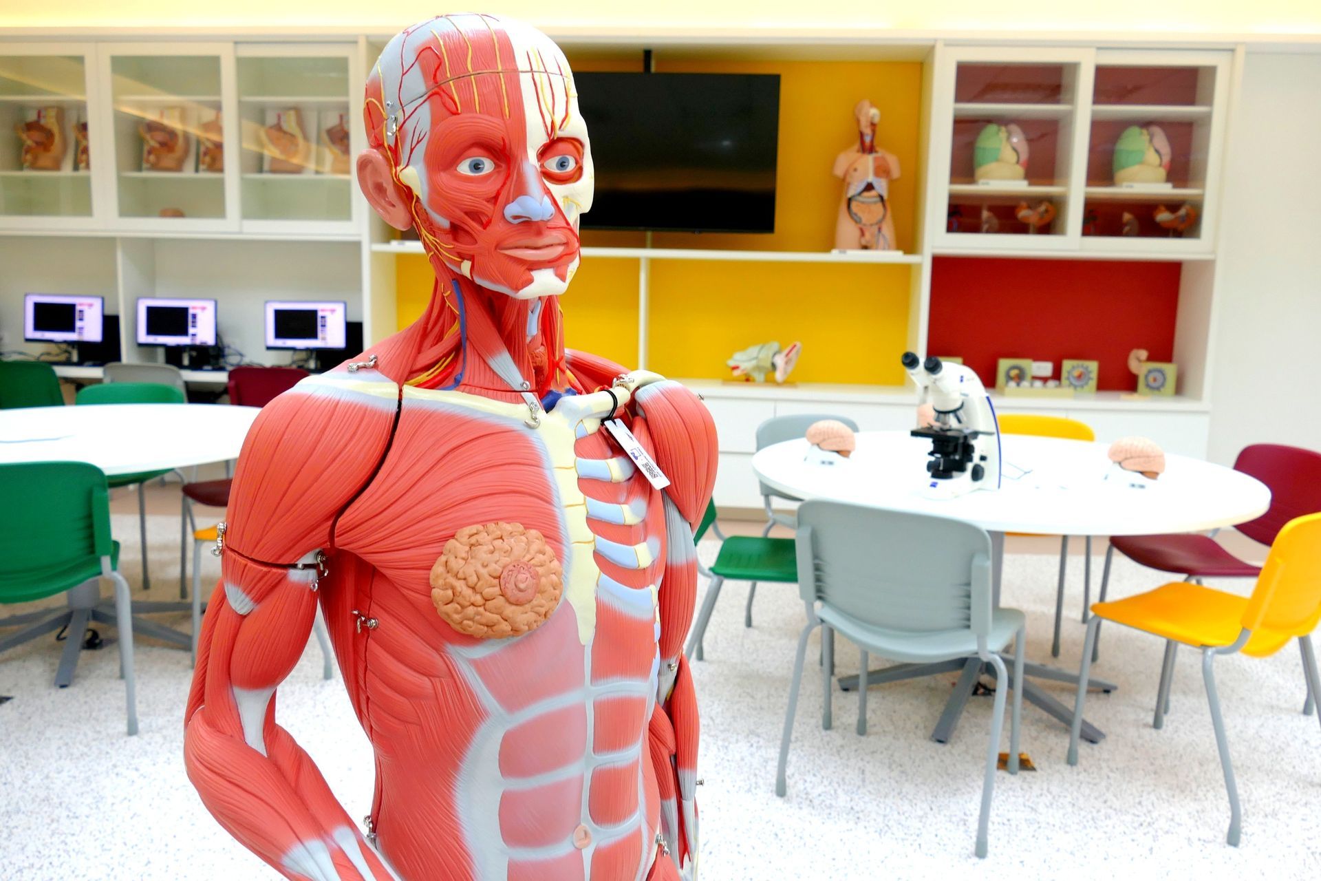 UNIFASE/FMP inova com metodologia que revoluciona o ensino da Sa&uacute;de 
