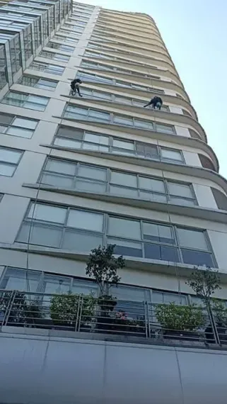 DIANLUI