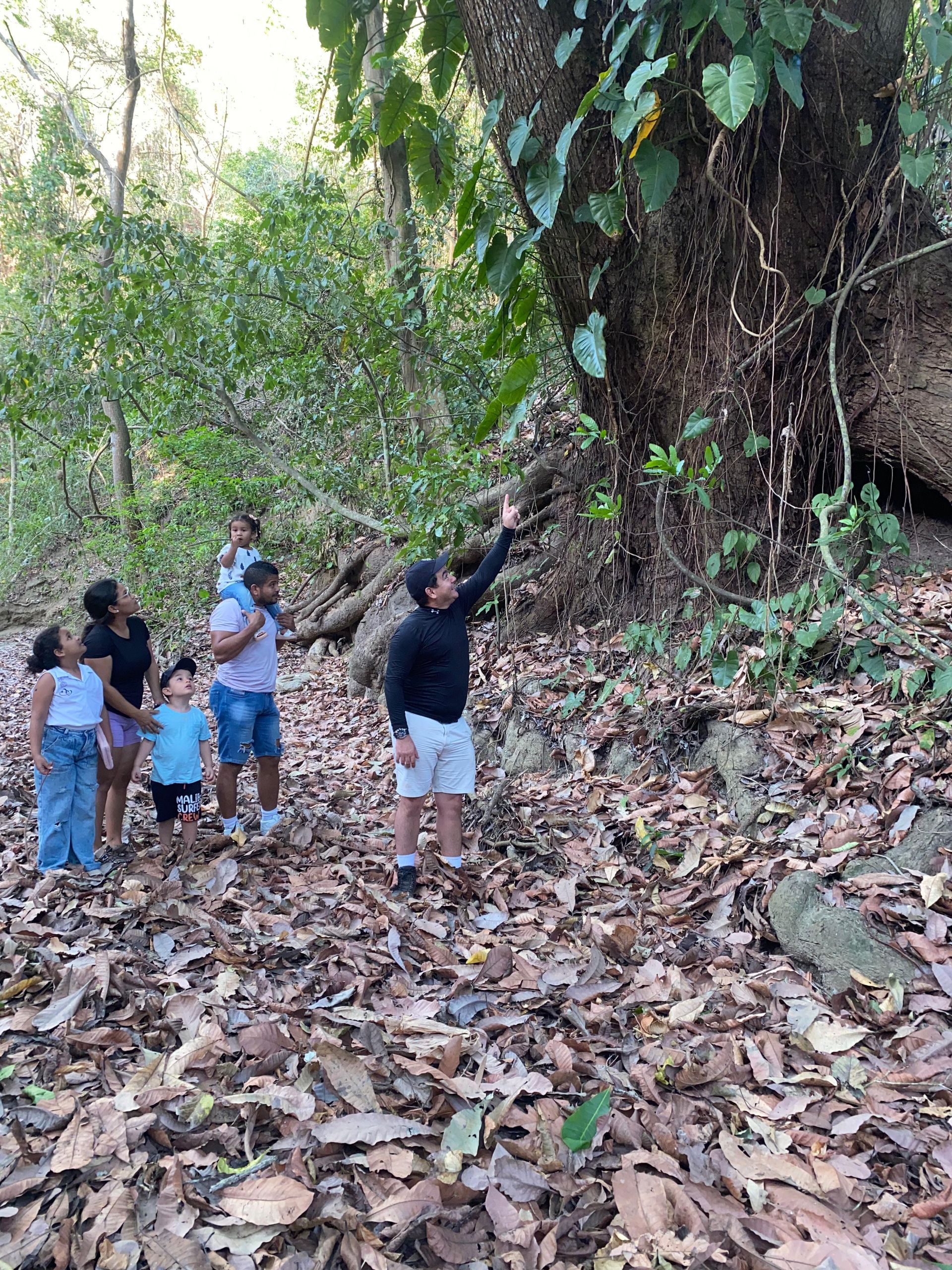 Senderismo en grupo, señalando un árbol con una pared rocosa, sendero forestal frondoso.