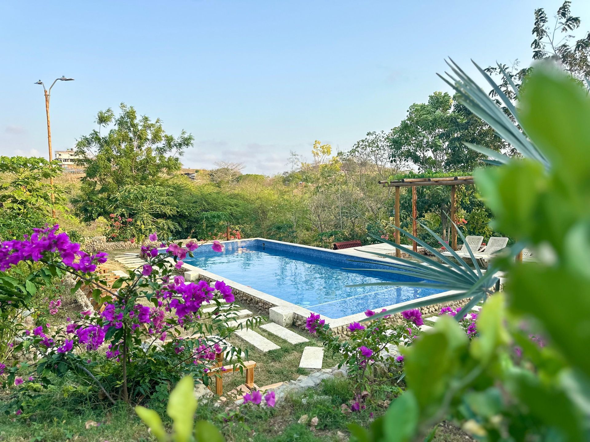 Piscina rodeada de vibrantes flores de color púrpura y exuberante vegetación bajo un cielo azul claro.