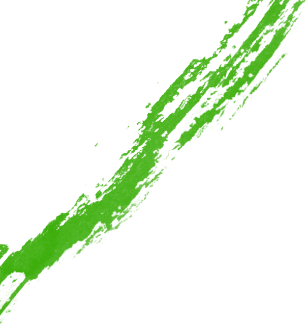 img asset