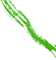 img asset