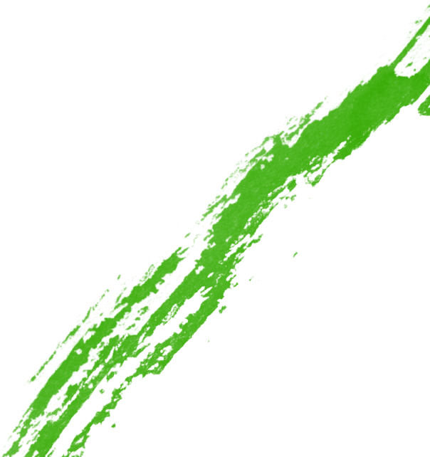 img asset