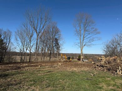 Cleared field with bare trees, wood piles, and a yellow excavator under a blue sky Cleared field with bare trees, wood piles, and a yellow excavator under a blue sky